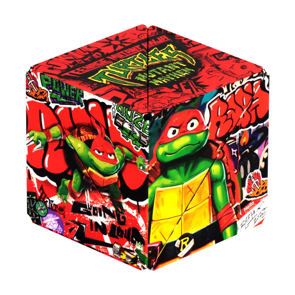 TMNT Series Y6