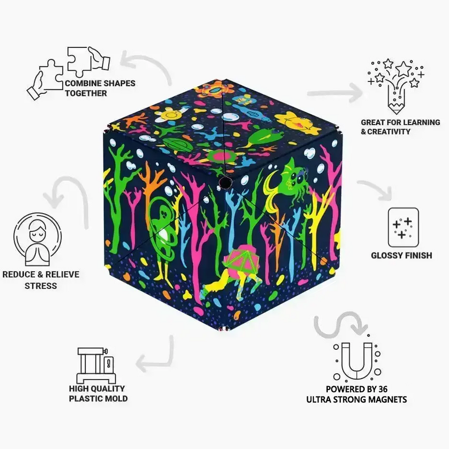 Meow Wolf Series B8